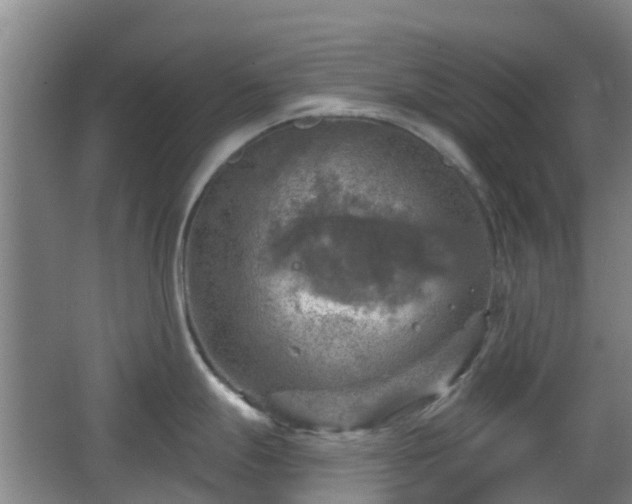 X0000065231247200602211136