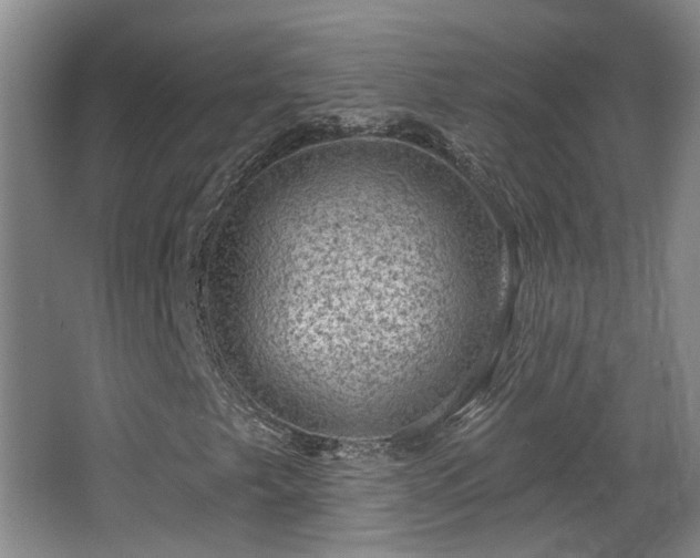 X0000065231249200602211135