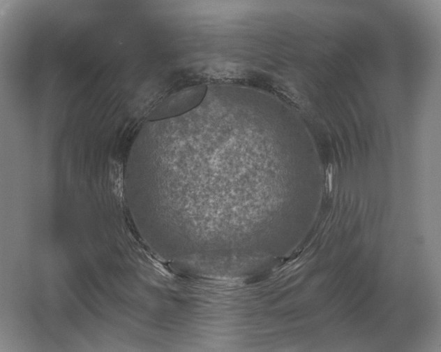 X0000065231251200602211135