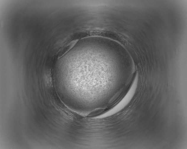 X0000065231252200602211135
