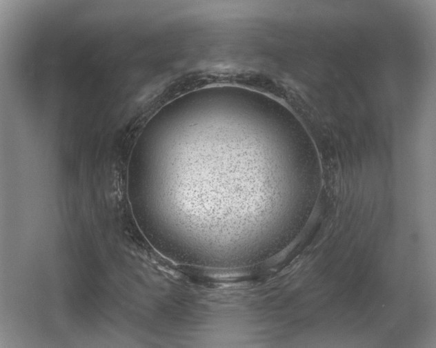 X0000065231253200602211135