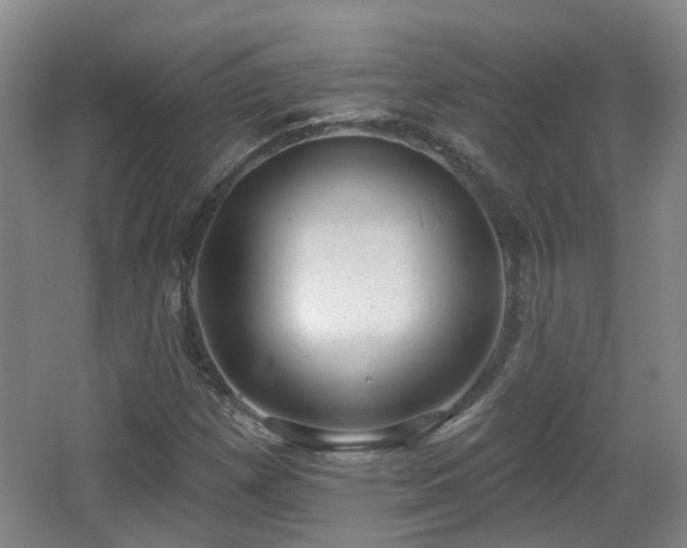 X0000065231257200602211135