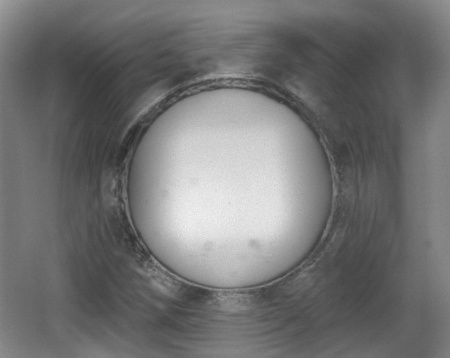 X0000065231258200602211135