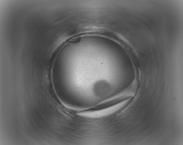 X0000065231259200602211135