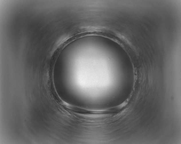 X0000065231261200602211135