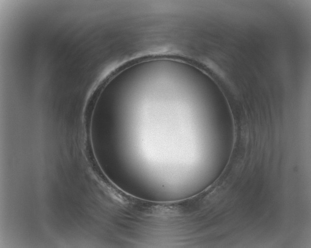 X0000065231270200602211135