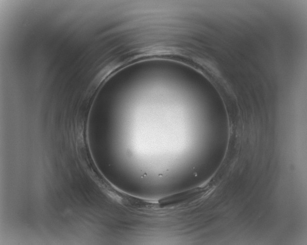 X0000065231273200602211135