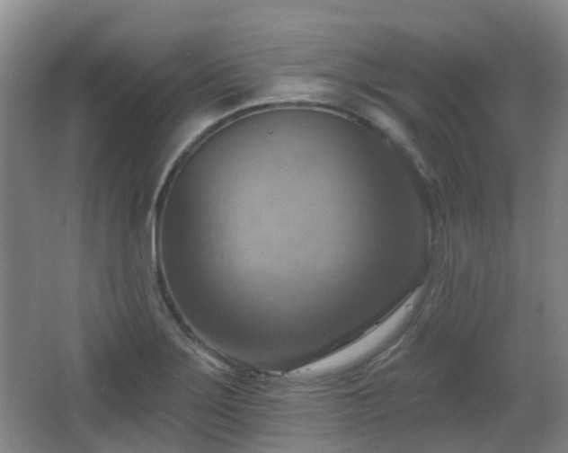 X0000065231275200602211135