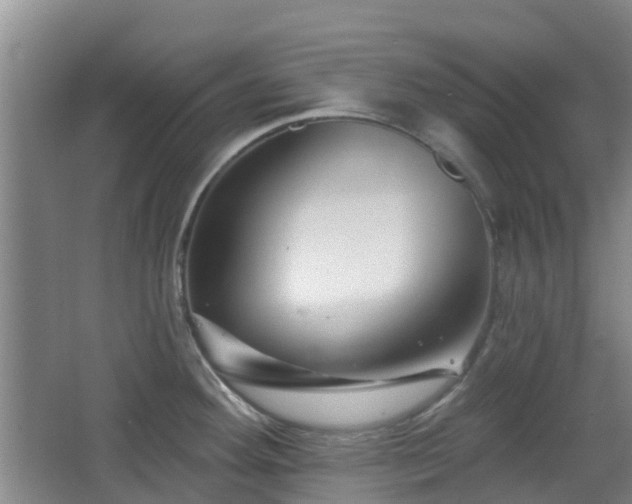 X0000065231292200602211134