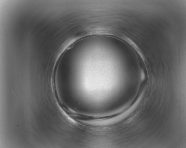 X0000065231293200602211134