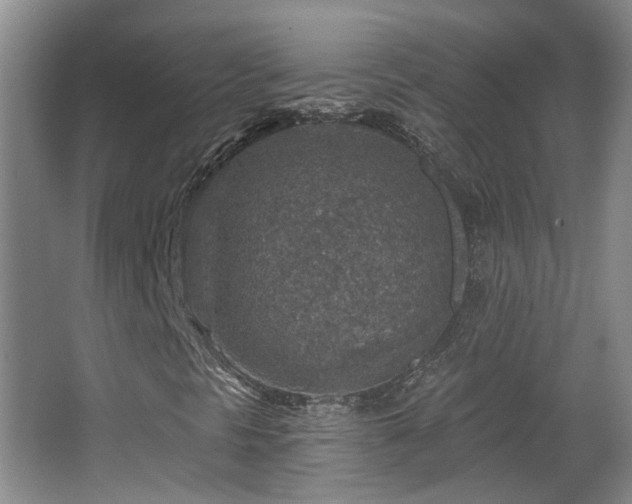 X0000065231297200602211133