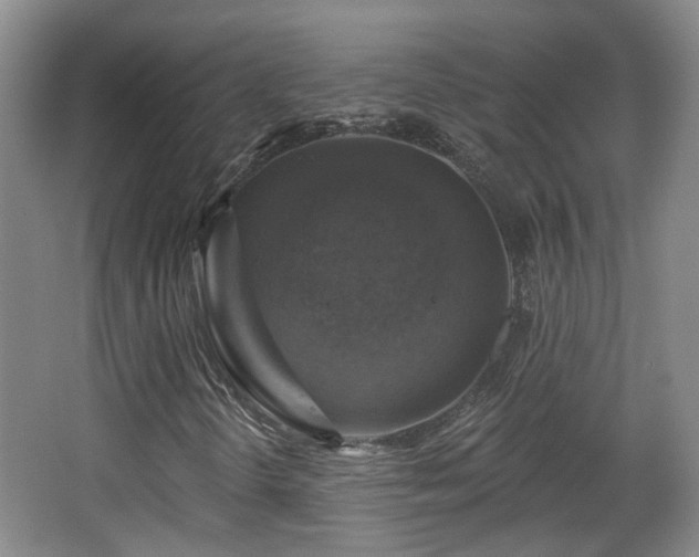 X0000065231298200602211134