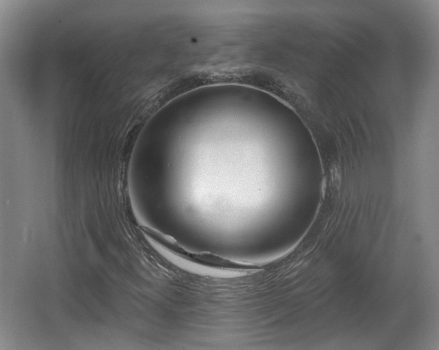 X0000065231300200602211134