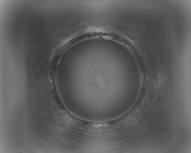 X0000065231303200602211134
