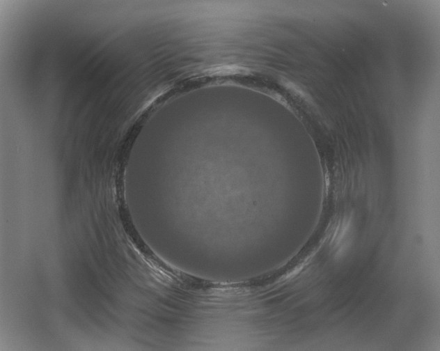 X0000065231305200602211134