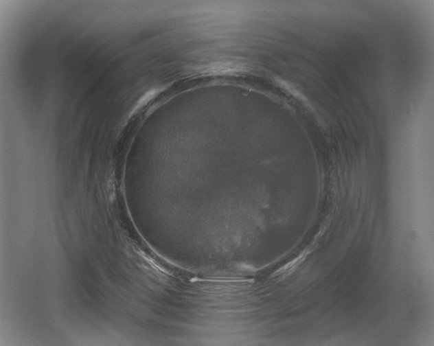 X0000065231306200602211134