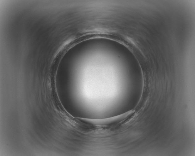 X0000065231307200602211134