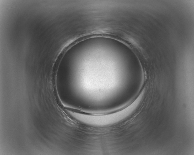 X0000065231308200602211134