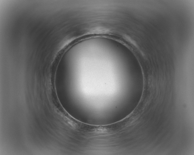 X0000065231315200602211134