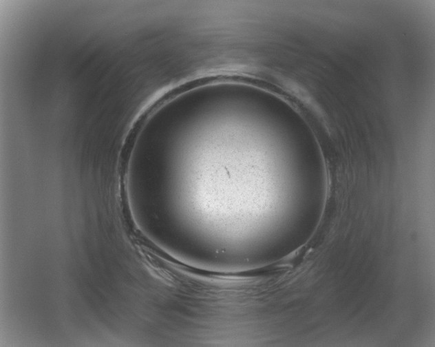 X0000065231316200602211134