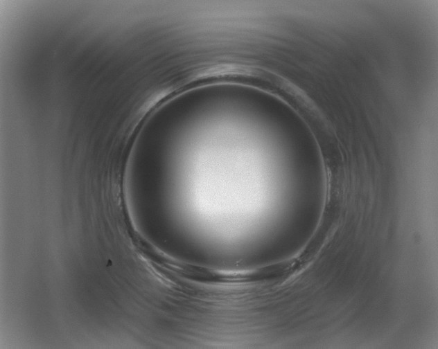 X0000065231321200602211134
