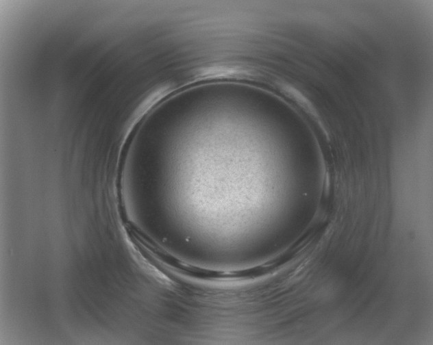 X0000065231330200602211134