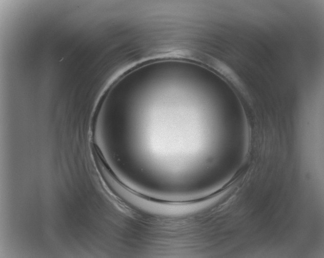 X0000065231332200602211134