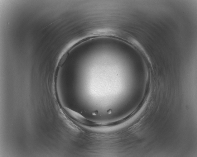 X0000065231336200602211134