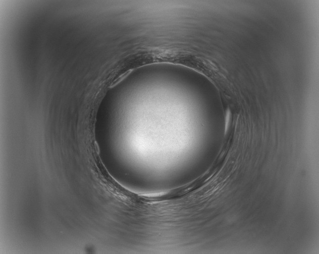 X0000065231345200602211133
