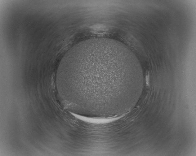 X0000065231347200602211133