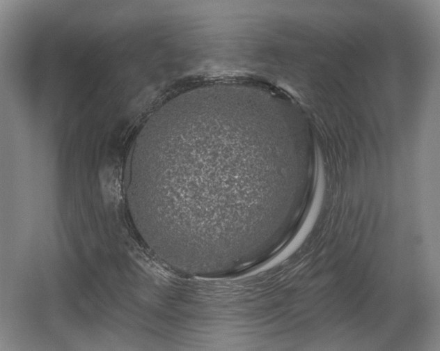 X0000065231348200602211133