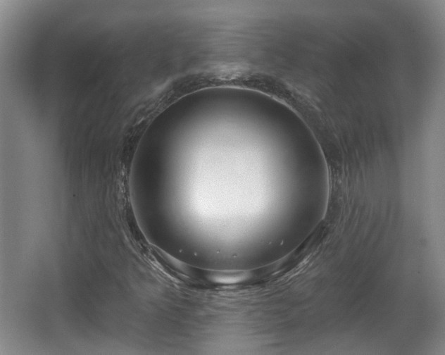 X0000065231349200602211133