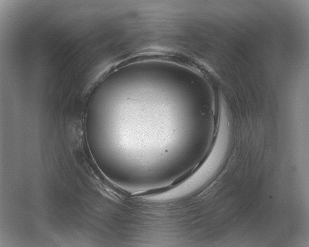X0000065231355200602211133