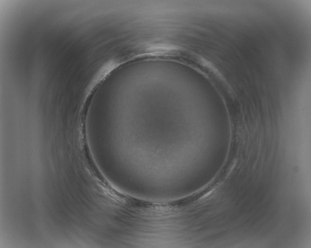 X0000065231362200602211133