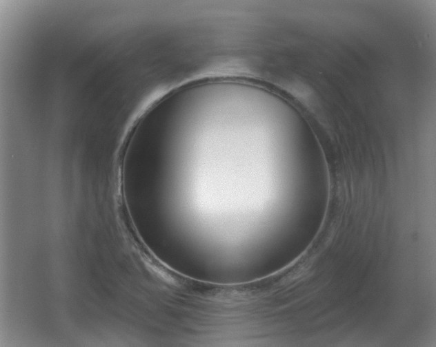 X0000065231366200602211133