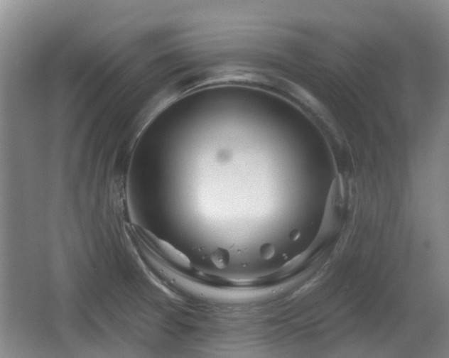 X0000065231377200602211133