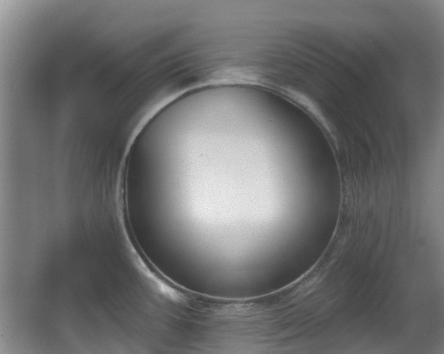 X0000065231387200602211133