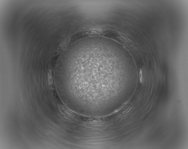 X0000065231395200602211132