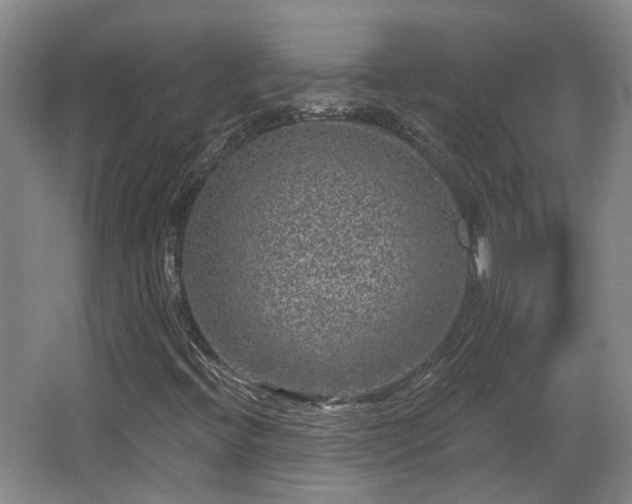 X0000065231396200602211132