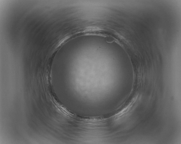 X0000065231401200602211132
