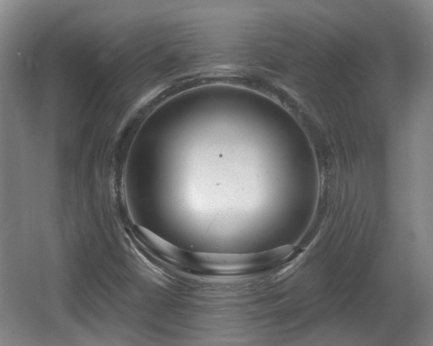 X0000065231402200602211132
