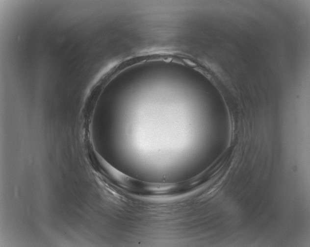 X0000065231406200602211132