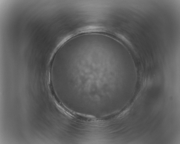 X0000065231413200602211132