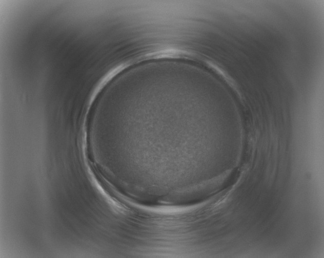 X0000065231418200602211132