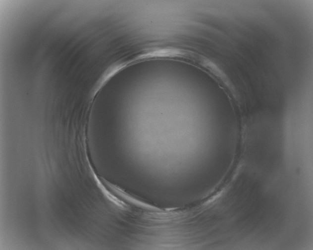 X0000065231425200602211132