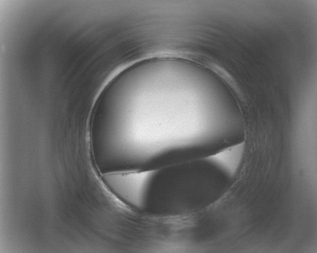 X0000065231428200602211132