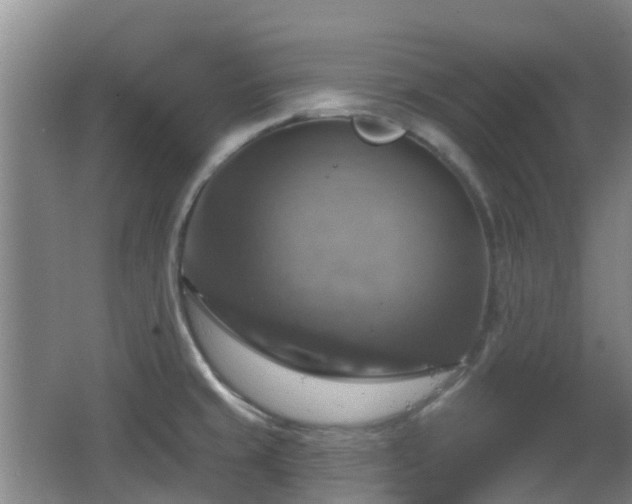 X0000065231429200602211132