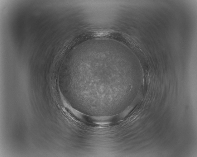 X0000065231441200602211132