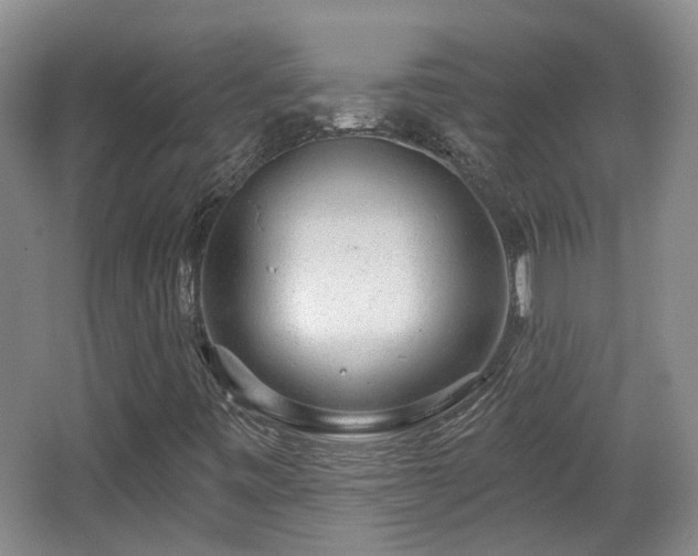 X0000065231443200602211132