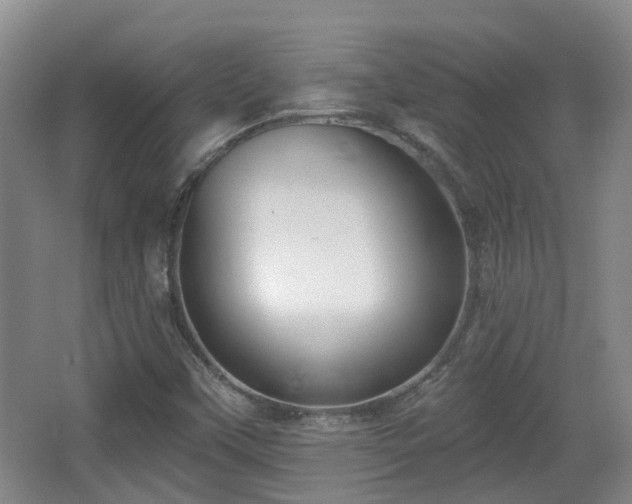 X0000065231451200602211132